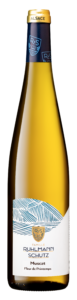 Muscat – Spring Flowers