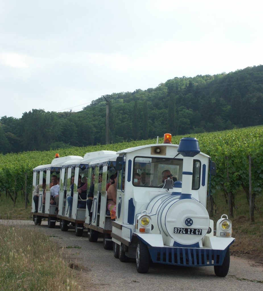 À propos - Trains-Trains - Balades de petits trains