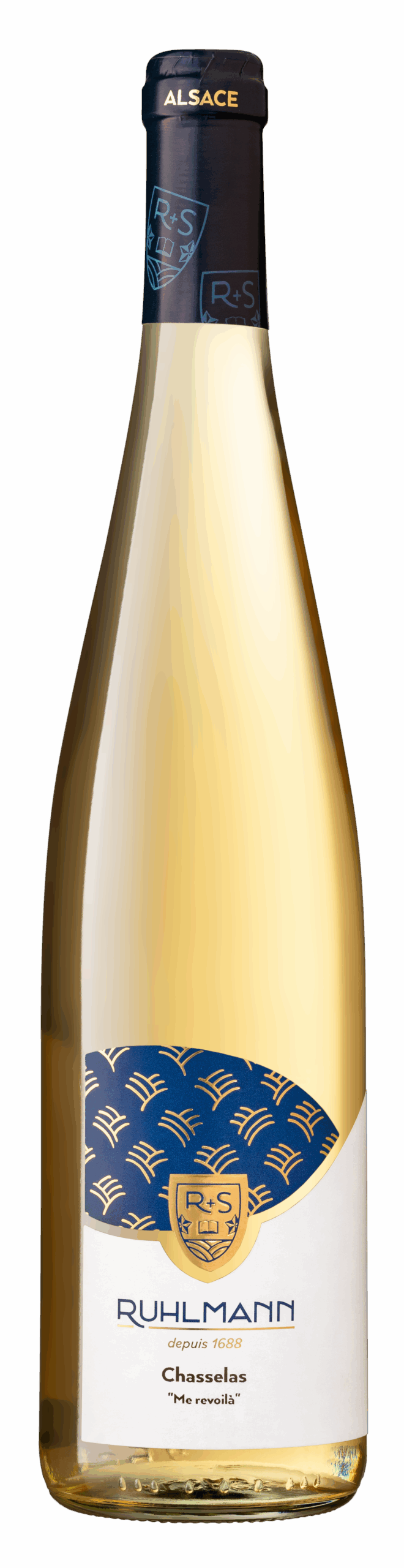 Chasselas – Me revoilà
